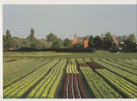 Landwirtschaft - Konoblauchsland Landwirtschaft - Konoblauchsland
