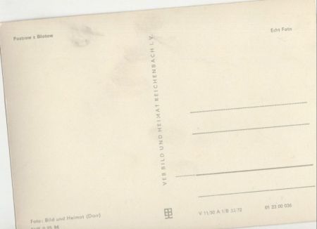 Spreewald - 3 Bilder