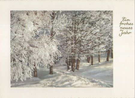 Frohes neues Jahr - Winterlandschaft Frohes neues Jahr - Winterlandschaft