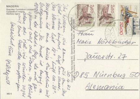 Madeira - Portugal - Blumen