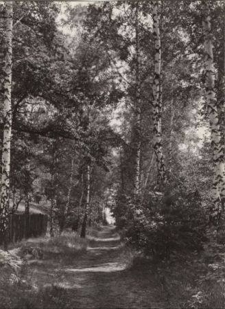 Märkisch Buchholz-Neuköthen, Neu-Köthen - Birkenweg am Kötener See Märkisch Buchholz-Neuköthen, Neu-Köthen - Birkenweg am Kötener See