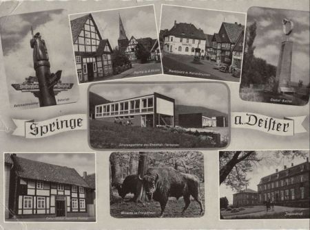 Springe - 8 Bilder Springe - 8 Bilder