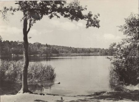 Dahlen-Ochsensaal - Dammühlnteich Dahlen-Ochsensaal - Dammühlnteich
