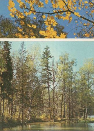 unbekannter Ort - Wald und See unbekannter Ort - Wald und See