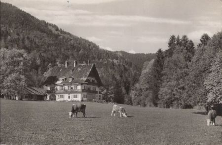 Kreuth - Haus Bruneck Kreuth - Haus Bruneck