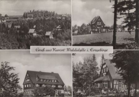 Altenberg-Waldidylle - 4 Bilder Altenberg-Waldidylle - 4 Bilder
