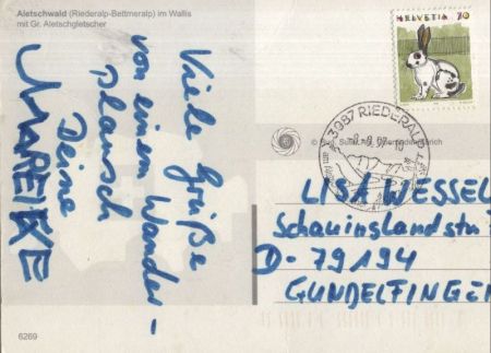 Aletschwald - Schweiz - 3 Bilder