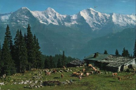 Beatenberg - Schweiz - Kühmatte Beatenberg - Schweiz - Kühmatte