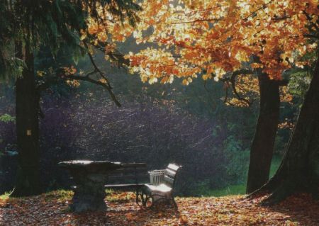 Herbst im Park Herbst im Park