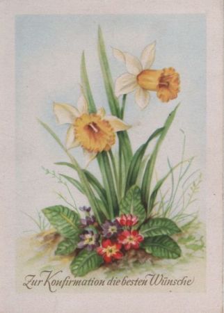 Zur Konfirmation Blumen Zur Konfirmation Blumen