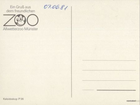 Münster - Zoo, viele Bilder