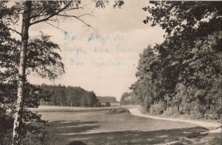 Dahlen-Schmannewitz - Heideweg Dahlen-Schmannewitz - Heideweg