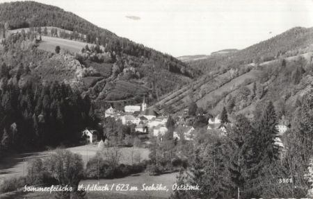 Waldbach - Österreich - Ansicht Waldbach - Österreich - Ansicht
