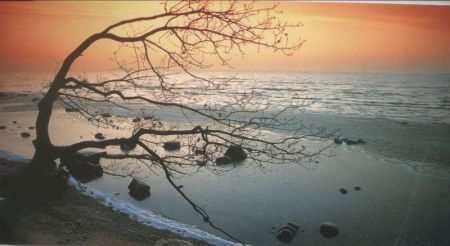 Putbus-Wreechen - Sonnenaufgang Putbus-Wreechen - Sonnenaufgang