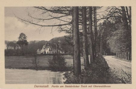 Darmstadt - Partie am Steinbrücker Teich Darmstadt - Partie am Steinbrücker Teich