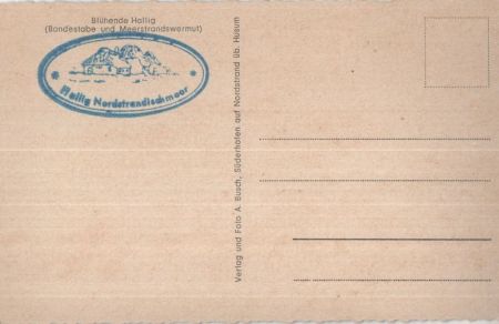 Halligen - Bondestabe und Meerstrandswermut Halligen - Bondestabe und Meerstrandswermut