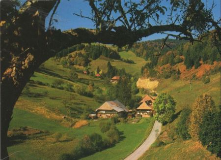 Böllen - Häuser Böllen - Häuser