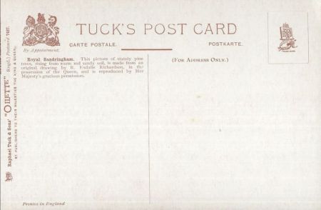 Sandringham - Großbritannien - Through the Pine Woods