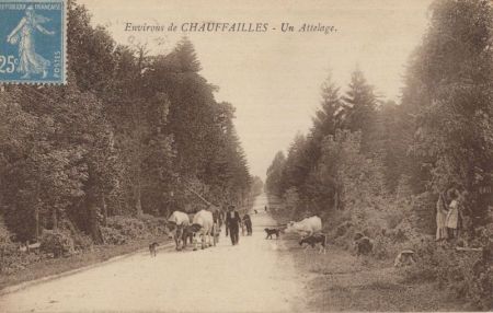 Chauffailles - Frankreich - Un Attelage Chauffailles - Frankreich - Un Attelage