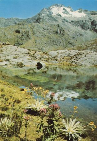 Anden - Venezuela - Los Andes Anden - Venezuela - Los Andes