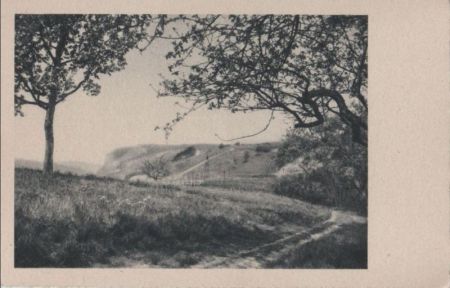 Fernblick zum Hügel - ca. 1955 Fernblick zum Hügel - ca. 1955