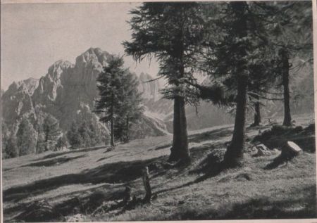 Türlspitz - Österreich - vom Brandriedel Türlspitz - Österreich - vom Brandriedel