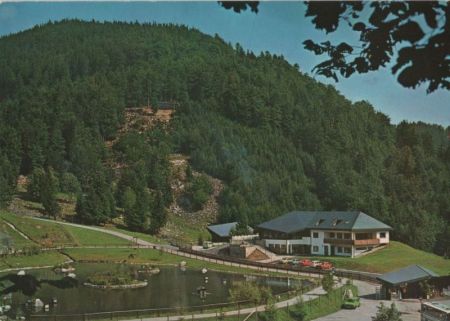 Todtnau - Berg-Wild-Park Steinwasen - ca. 1980 Todtnau - Berg-Wild-Park Steinwasen - ca. 1980