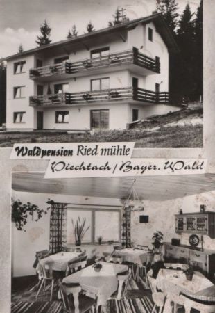Viechtach - Waldpension Riedmühle - ca. 1970 Viechtach - Waldpension Riedmühle - ca. 1970