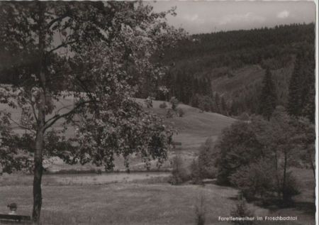Bad Steben-Bobengrün - Gasthaus Rübezahl - ca. 1970 Bad Steben-Bobengrün - Gasthaus Rübezahl - ca. 1970