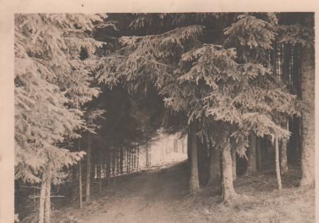 Groh - Der Märchenweg - ca. 1940 Groh - Der Märchenweg - ca. 1940