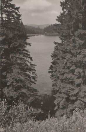 Harz - Grumbacherteich - ca. 1955 Harz - Grumbacherteich - ca. 1955