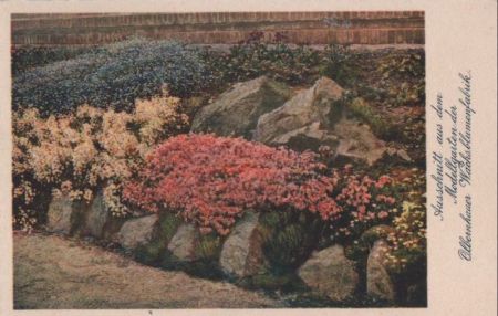 Olbernhau - Modellgarten der Wachsblumenfabrik - ca. 1965 Olbernhau - Modellgarten der Wachsblumenfabrik - ca. 1965