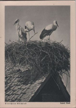 Storchens Abschied - ca. 1950 Storchens Abschied - ca. 1950