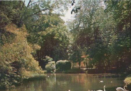 Frankreich - Tarbes - L Etang du Jardin Massey - ca. 1975 Frankreich - Tarbes - L Etang du Jardin Massey - ca. 1975