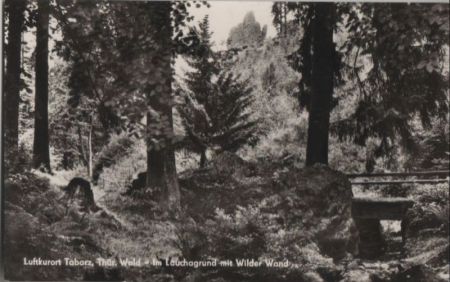 Tabarz - Im Lauchagrund mit Wilder Wand - 1966 Tabarz - Im Lauchagrund mit Wilder Wand - 1966