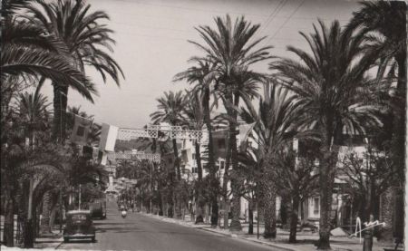 Frankreich - Hyeres-les-Palmiers - Avenue Gambetta - ca. 1960 Frankreich - Hyeres-les-Palmiers - Avenue Gambetta - ca. 1960