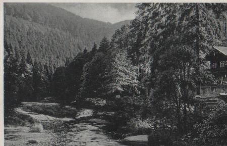 Schwarzburg - Schweizerhaus - Schwarzatal - ca. 1955 Schwarzburg - Schweizerhaus - Schwarzatal - ca. 1955