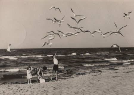 Zinnowitz - Strand - 1976 Zinnowitz - Strand - 1976