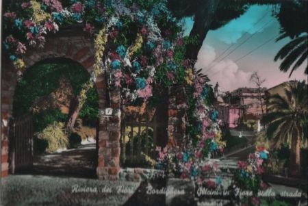 Italien - Bordighera - Glicini in Fiore sulla strada romana - 1957 Italien - Bordighera - Glicini in Fiore sulla strada romana - 1957