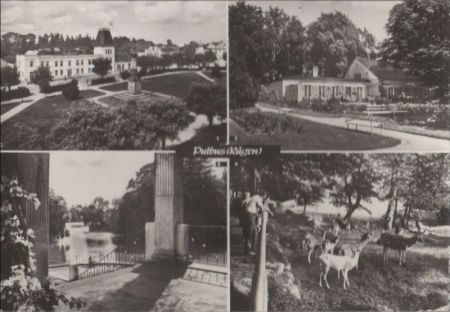 Putbus - u.a. Im Park - 1979 Putbus - u.a. Im Park - 1979