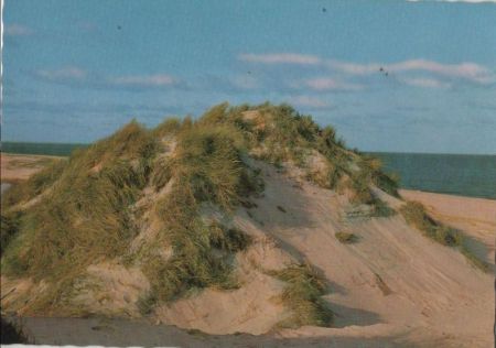 Dünen am Meer - ca. 1975 Dünen am Meer - ca. 1975