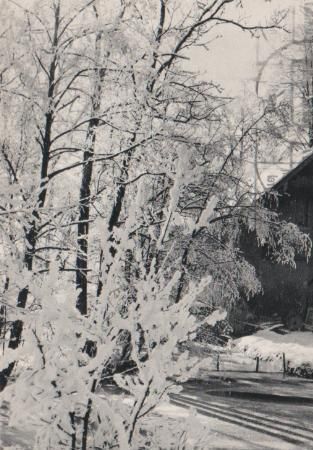 Fröhliche Weihnachten u. gutes neues Jahr - 1967 Fröhliche Weihnachten u. gutes neues Jahr - 1967