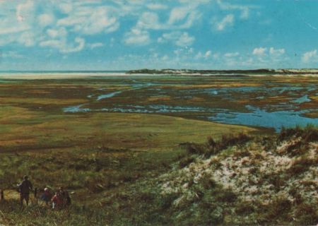 Niederlande - Texel - De Slufter - 1976 Niederlande - Texel - De Slufter - 1976