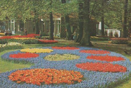 Niederlande - Keukenhof - Lisse-Holland - ca. 1975 Niederlande - Keukenhof - Lisse-Holland - ca. 1975