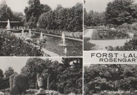 Forst Lausitz - Rosengarten - ca. 1975 Forst Lausitz - Rosengarten - ca. 1975