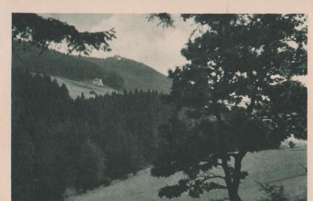 Altenau - Harz - Das Haus am Berge - ca. 1955 Altenau - Harz - Das Haus am Berge - ca. 1955