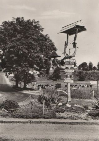 Neuhausen-Cämmerswalde - 1975 Neuhausen-Cämmerswalde - 1975