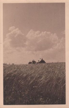 Haus hinter Feld Haus hinter Feld