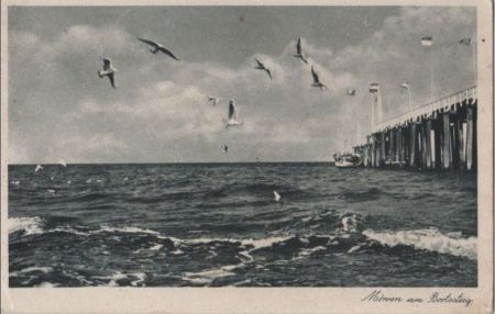 Möwen am Bootssteg - ca. 1940 Möwen am Bootssteg - ca. 1940