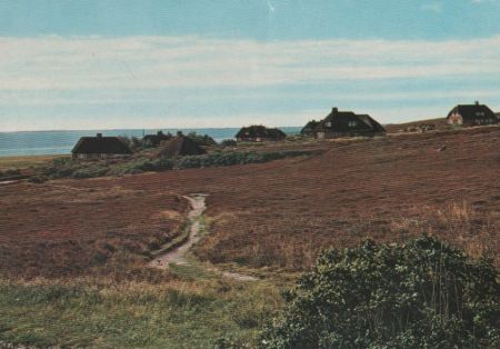 Sylt - Kampener Heide, Friesenhäuser - ca. 1975 Sylt - Kampener Heide, Friesenhäuser - ca. 1975